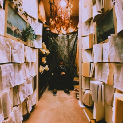 Individualization (Indivisualization) - Single