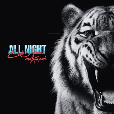 All Night (feat. Antepek) - Single
