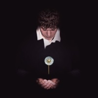 Dandelion - Single - Milly
