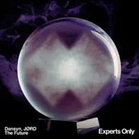 THE FUTURE — DANSYN