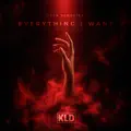 Everything I Want