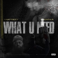 WHAT U NEED (feat. Yung Lb) - Single - Santeezy