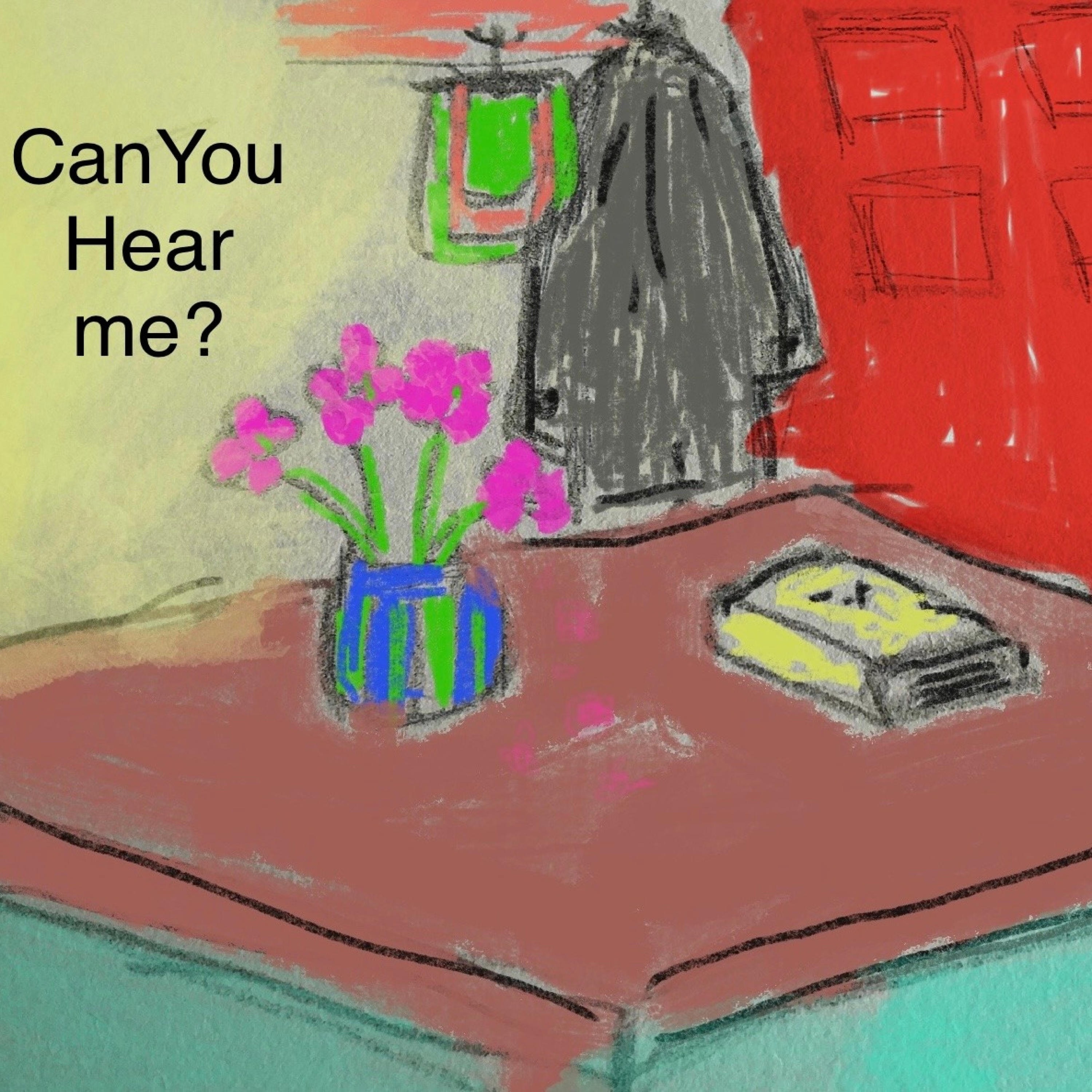 Can You Hear Me? - Single
