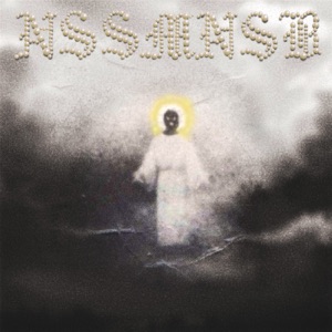 nssmnsb