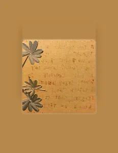 Escucha a The Belle Isles, mira vídeos musicales, lee la biografía, consulta fechas de giras y mucho más.