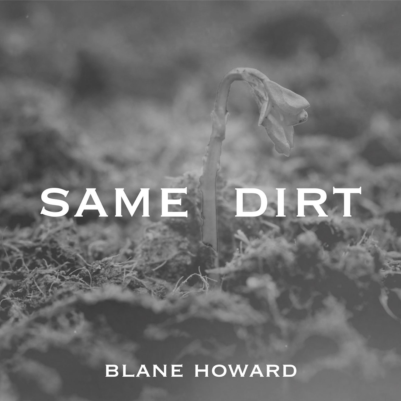 Blane Howard – Same Dirt – Single (2024) [iTunes Match M4A]