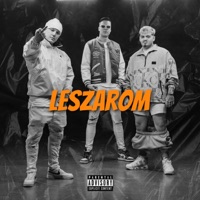 Leszarom (feat. T.Danny & DESH) - Single - Rico