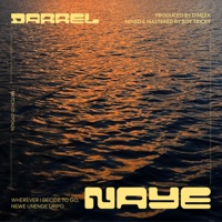 Naye (Haaahhh) - Single - Darrel