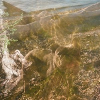 Untitled 2 - Single - Digital Ghost fka bzkt.