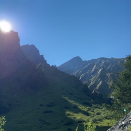 Is it worth it? ZAMARO