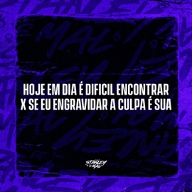 Hoje em dia é dificil Encontrar X Se eu engravidar a culpa é Sua DJ Stanley, DJ EDIN & Cariello Dj
