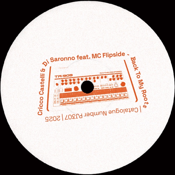 Back To My Roots (feat. MC Flipside) - Single