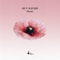 Phoenix - Single - Ben Haydie