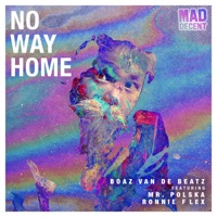 No Way Home (feat. Mr. Polska & Ronnie Flex) - Single - Boaz Van De Beatz
