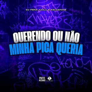 Querendo ou Não Minha Pica Queria