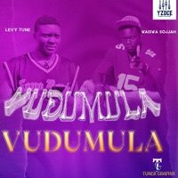 Vudhumula (feat. Waiswa Sojjah) [VERSE 1] - Single - Levy Tune