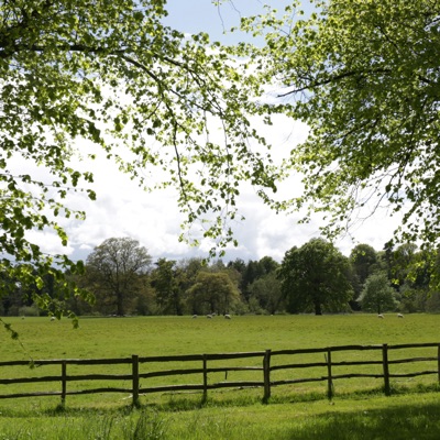 Haystack Evenings - Single