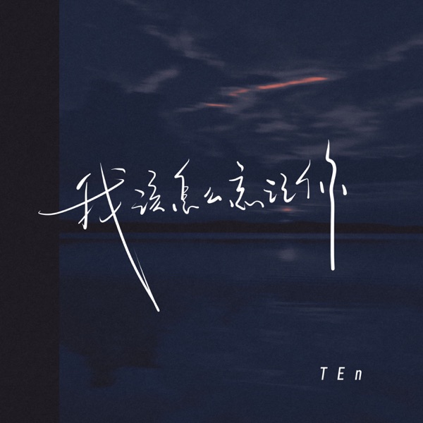 我该怎么忘记你 - Single