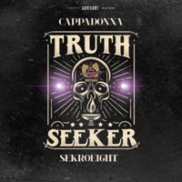 Truth Seeker - Single - Sekro#8