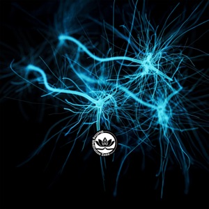 Perfectly Balanced GABA Neurotransmitter