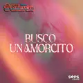 Busco Un Amorcito