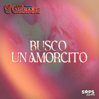 Busco un Amorcito - Single - Los Súper Caracoles