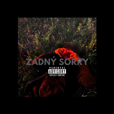 ŽÁDNÝ SORRY - Single