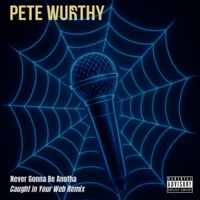 Never Gonna Be Anotha (Caught In Your Web Remix) - Single - Pete Wurthy