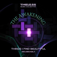 Things I Find Beautiful - Single - Indubitably