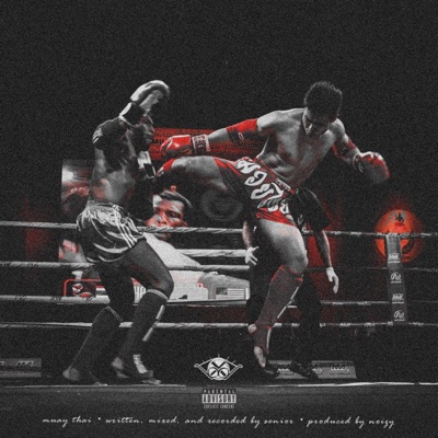 Muay Thai - Single