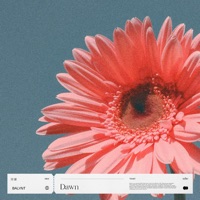 Dawn - Single - Balynt