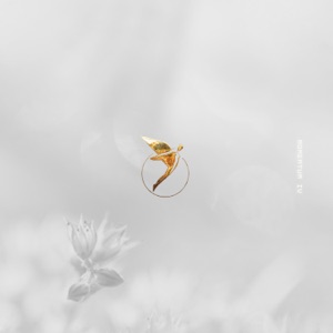 Momentum IV