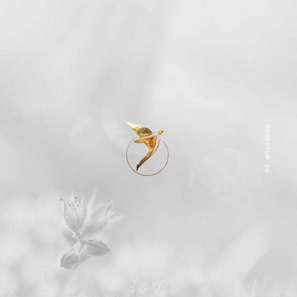 Momentum IV