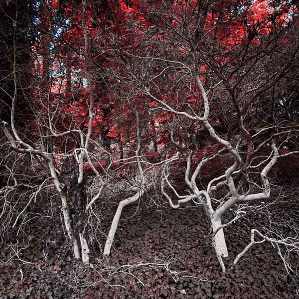 Mimesis / Undertow - Single