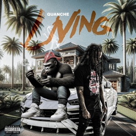 Back On My Bull Quanche