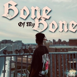 It's Not My Fault (feat. Sun Of John) [Slowed] Son Of John