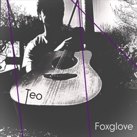 Be Well Teo