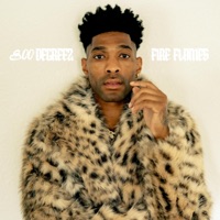 800 DEGREEZ: FIRE FLAMES - 808 BEEZY