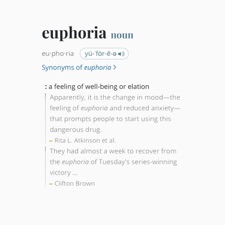 euphoria by 