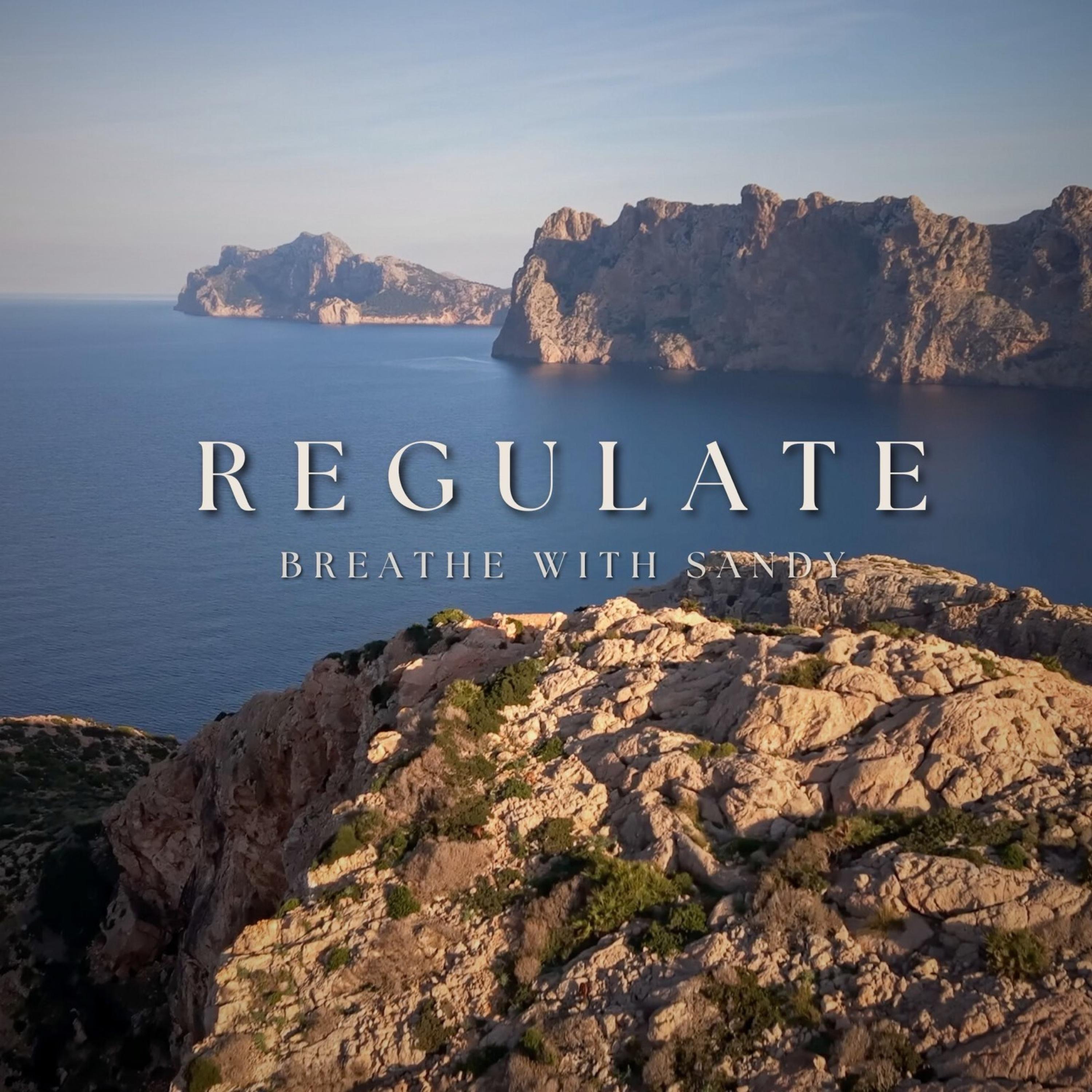 Regulate - Single
