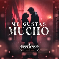 Me Gustas Mucho - Single - Grupo Depurado