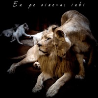 Eu pe cine-as iubi - Single - Byga