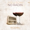 Meu Som No Radin - Single