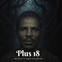 Plus 18 (feat. Jimmy Sugarcane) - Single - MR Dove