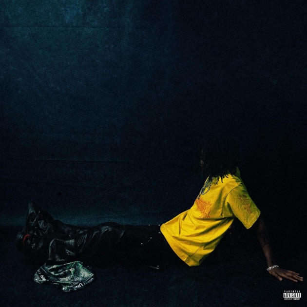 GET RICH & DIE FLY - Album by Lilnosebleedd - Apple Music