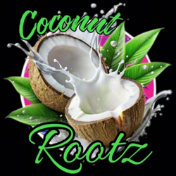 My Everything - EP - Coconut Rootz Cover Art