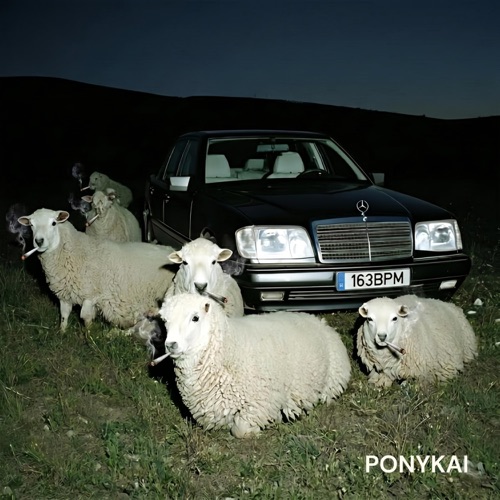 Ponykai (feat. ENDLESSX & Cod3break)