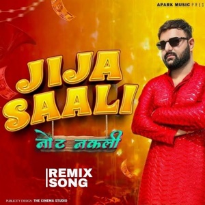 jia sali remix (remix Version)