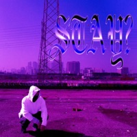 stay?  (feat. Ky Fye) [chopped & screwed] - Single