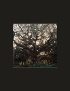 聆聽 Cuzzy Rose、觀看音樂影片、閱讀小傳、查看巡演日期等！